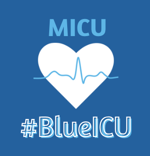 PRE-ORDER | Blue ICU T-Shirt